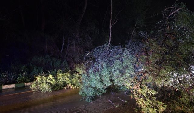 Manisa Salihli'de sağanak hayatı olumsuz etkiledi