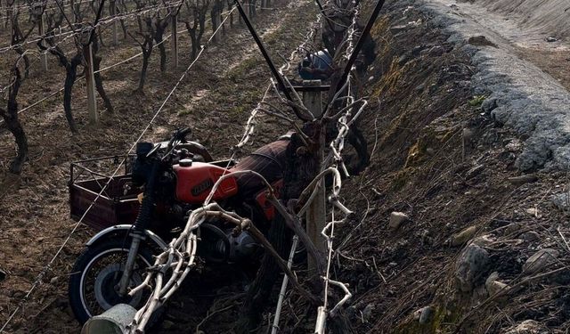 Manisa'da devrilen motosikletin sürücüsü öldü