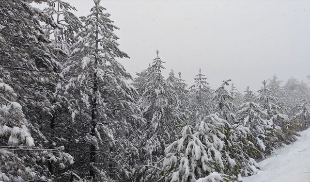 Manisa'nın Demirci ilçesinde kar etkili oldu