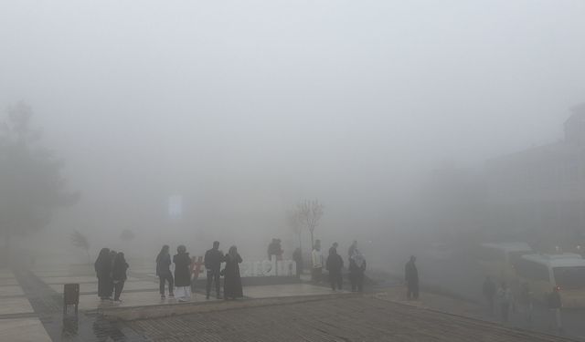 Mardin'de sis etkili oldu