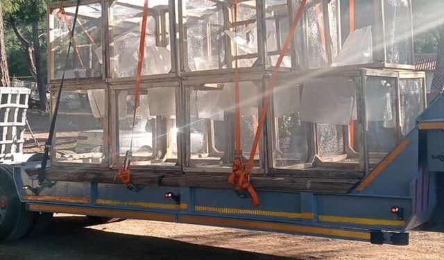 Marmaris'te çam kese böceğiyle kafes yöntemiyle mücadele ediliyor