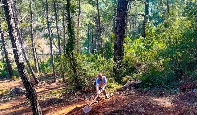 Marmaris'teki 2 bin yıllık piramit mezar koruma altına alınıyor