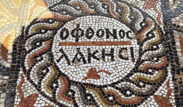 'May the jealous burst with envy': Mosaic with inscription found at Türkiye's 3,000-year-old ancient city excavation
