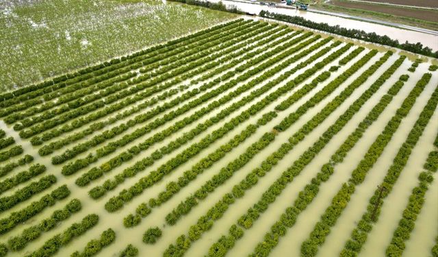 Mersin'de sağanak nedeniyle tarım arazileri su altında kaldı