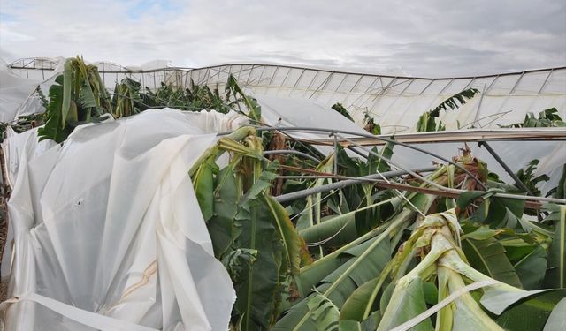 Mersin'de şiddetli rüzgar ve dolu nedeniyle 150 dönüm sera zarar gördü