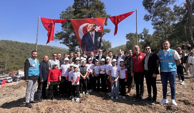 Muğla'da yanan alanlara fidan dikildi