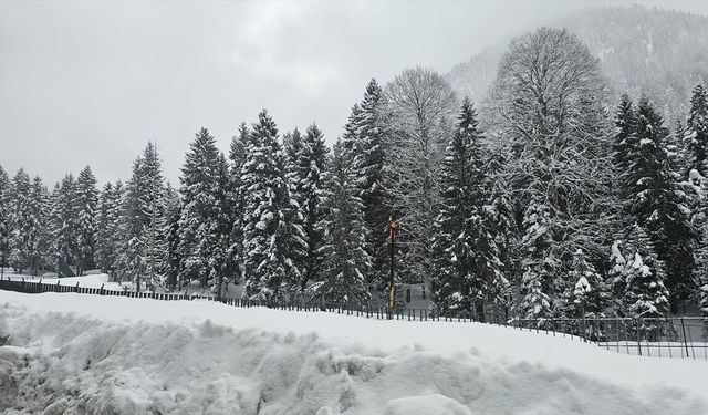 Rize ve Ordu'da kar etkili oldu