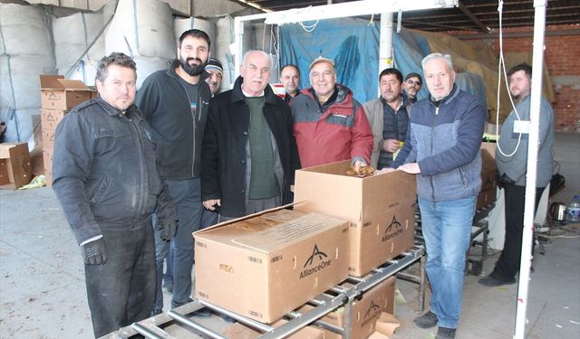 Samsun'da tütün alımı devam ediyor