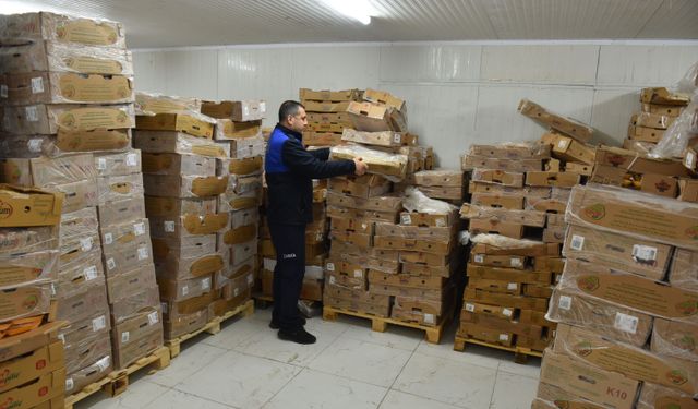 Şanlıurfa'da 50 ton bozuk tavuk eti ele geçirildi