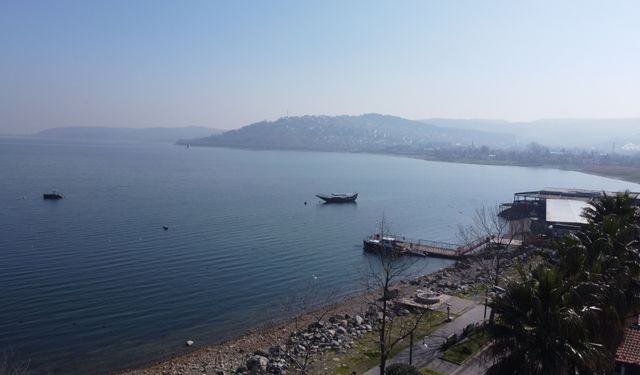 Sapanca Gölü çevresindeki etnobotanik hafıza 112 bitkiyle kayıt altına alındı