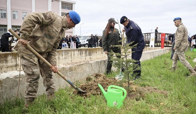 Sinop'ta toprakla buluşturulan 5 bin 700 fidan geleceğe nefes olacak