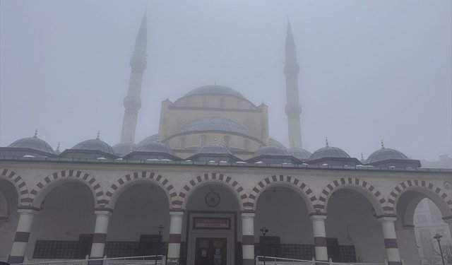 Şırnak'ta sis etkili oldu