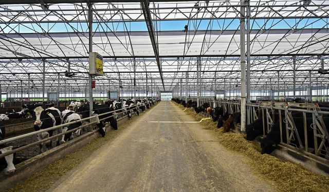 TARIMDA DİJİTAL ÇAĞ - Tarım ve hayvancılıkta teknolojinin rolü TÜME ekosistemiyle güçleniyor