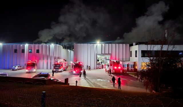 Tekirdağ'da fabrikanın bacasında çıkan yangın söndürüldü