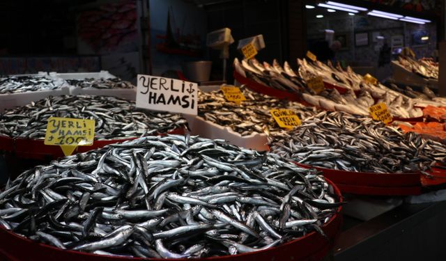 Trabzon'da balıkçı tezgahlarında hamsi ve istavrit ilgi görüyor