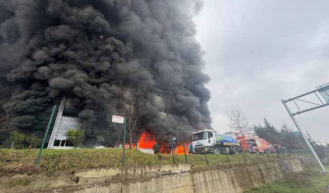 Trabzon'da fındık fabrikasının deposunda çıkan yangına müdahale ediliyor