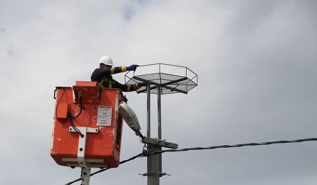 Trakya'da leylekler için elektrik direklerine 1000 platform kuruldu