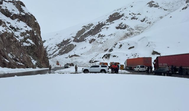 Van-Hakkari kara yolu çığ nedeniyle kapandı
