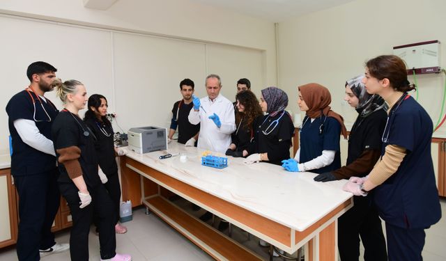 Van kedilerinde 'B' kan grubunun daha baskın olduğu belirlendi