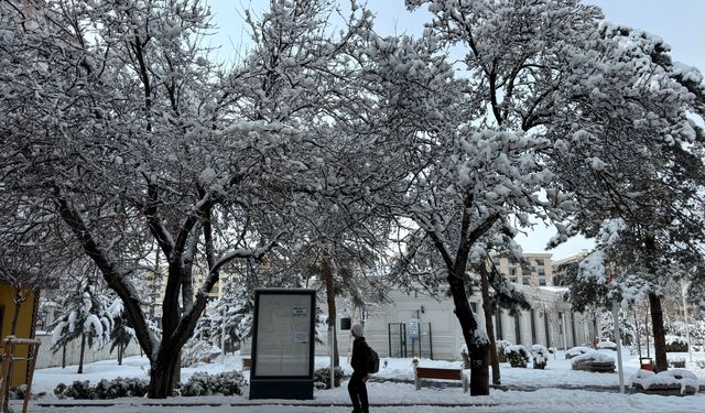 Van, Muş, Bitlis ve Hakkari'de 758 yerleşim yerine ulaşım sağlanamıyor