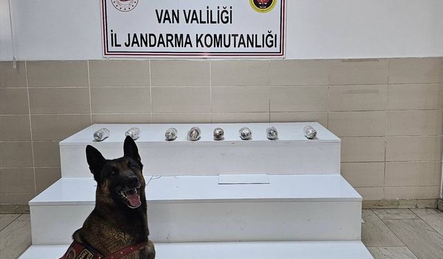 Van'da 1 kilo 256 gram uyuşturucu ele geçirildi