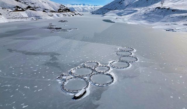 Van'da etkili olan yağışlar barajların doluluk oranını artırdı