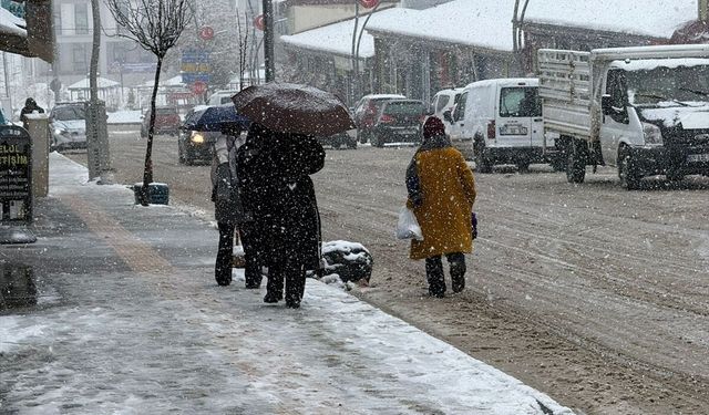Van'ın Başkale ilçesinde kar etkili oldu