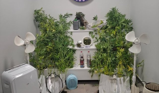 Yalova'da 7 suçtan aranan hükümlü uyuşturucu ürettiği evde yakalandı