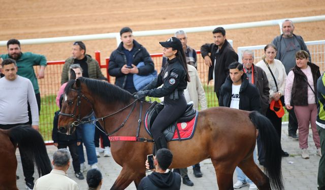 Adana'da Portakal Çiçeği Koşusu'nu 'Mountain' isimli safkan kazandı