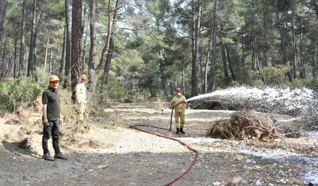 Antalya'da orman yangınlarına karşı tatbikat yapıldı