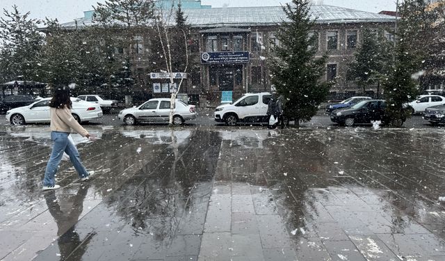 Ardahan'da kar etkili oldu