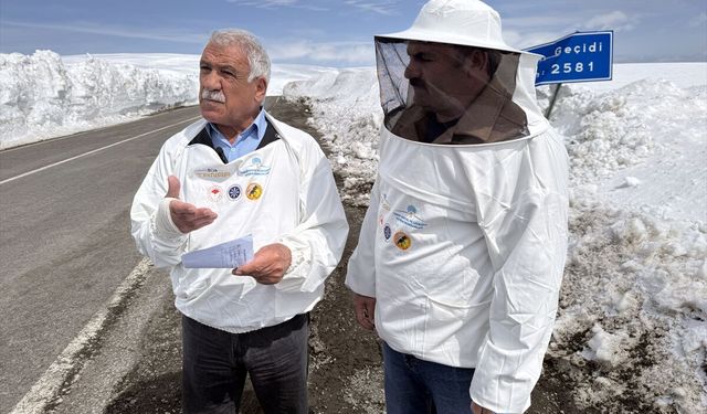 Arıcılardan Ardahan-Ardanuç kara yolunun kışın açık tutulması talebi