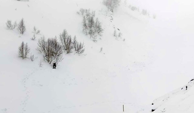 Artvin'de çığ bölgesinde gözlemsel etüt ve kar rasatı çalışması yapıldı