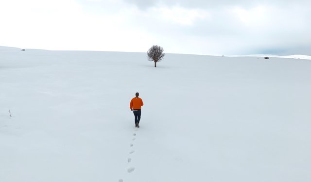 Bingöl'ün kuzeyinde kış, güneyinde bahar yaşanıyor