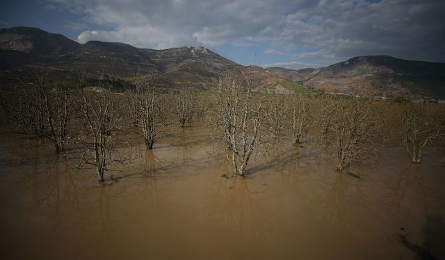 Bursa'da 3 gün süren sağanak Gürsu Ovası'nı su altında bıraktı