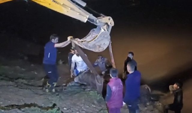 Cizre'de nehre düşen inek iş makinesiyle kurtarıldı