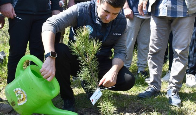 Düzce'de MHP Genel Başkanı Bahçeli adına hatıra ormanı oluşturuldu