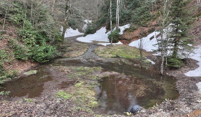 Düzce'nin yaylalarında iki mevsim bir arada yaşanıyor