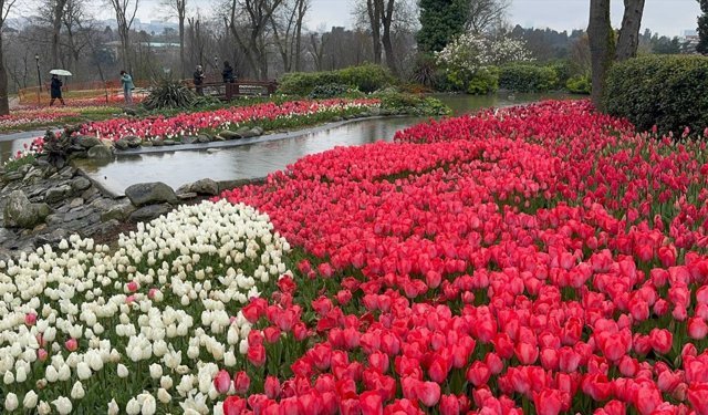 Emirgan Korusu'nun lale bahçeleri ziyaretçi akınına uğruyor