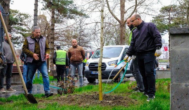 Erzincan'da okul saldırısında hayatını kaybedenler anısına 'masumiyet çınarı' dikildi