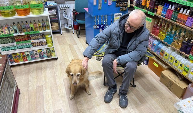 Hastalığına tanı konulamayan köpek sevginin gücüyle hayata bağlandı