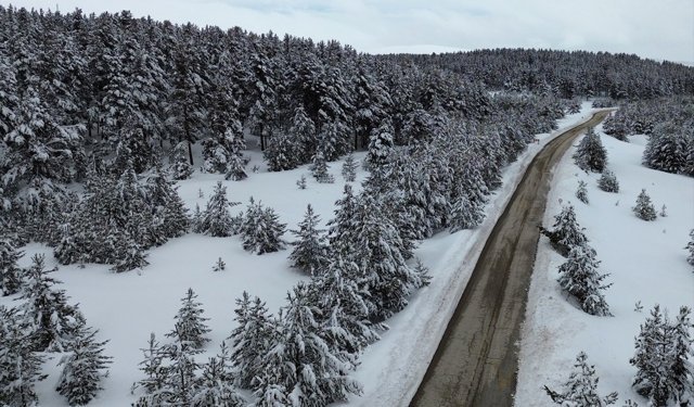 Karla kaplı Sarıkamış ormanları dronla görüntülendi