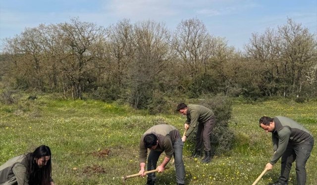 Kocaeli'de izinsiz salep orkidesi toplayan kişiye 699 bin lira ceza