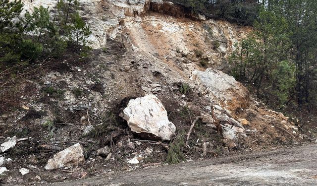 Mengen'de sağanak heyelana neden oldu