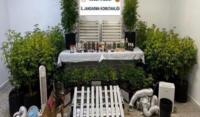 Muğla'da uyuşturucu operasyonlarında 14 zanlı tutuklandı
