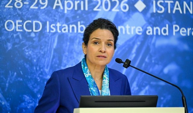 OECD Kritik Mineraller Forumu