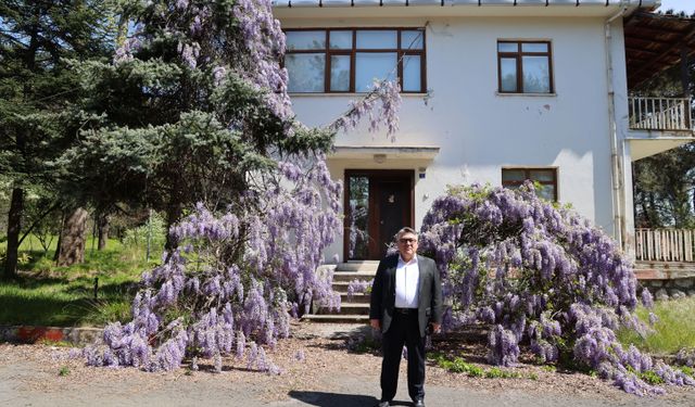 Prof. Dr. Teoman Duralı'nın Zonguldak'ta çocukluğunu geçirdiği ev müzeye dönüştürülecek