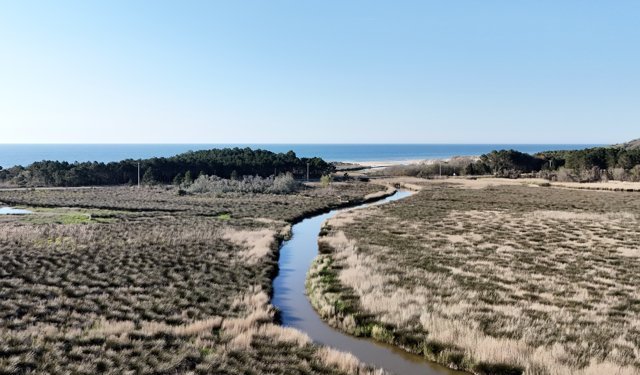 Sinop'taki Sarıkum Tabiat Koruma Alanı'nda bahar canlılığı