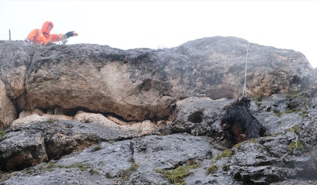 Sivas'ta kayalıklarda mahsur kalan keçi kurtarıldı