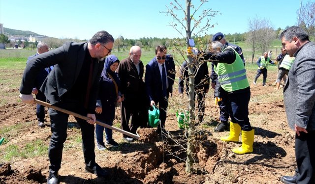 Sivas'ta şehitler anısına fidan dikildi